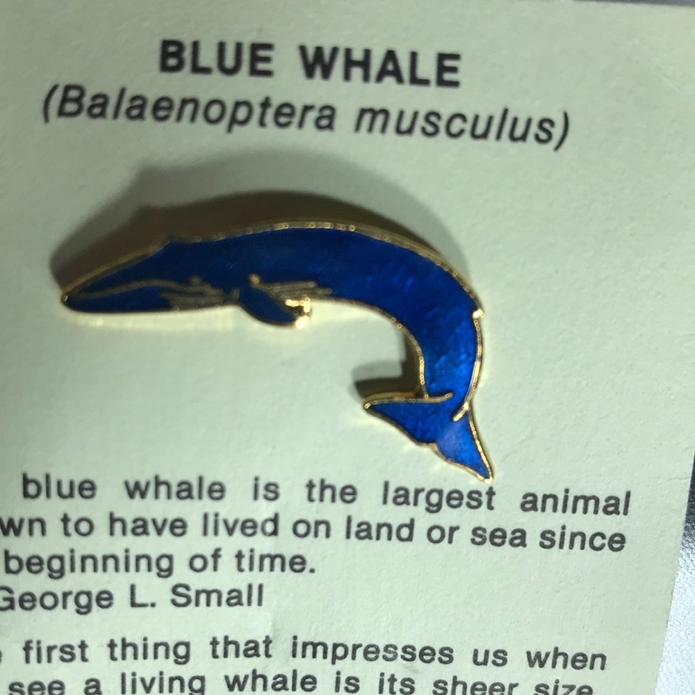 Greenpeace enamel blue whale pin rare